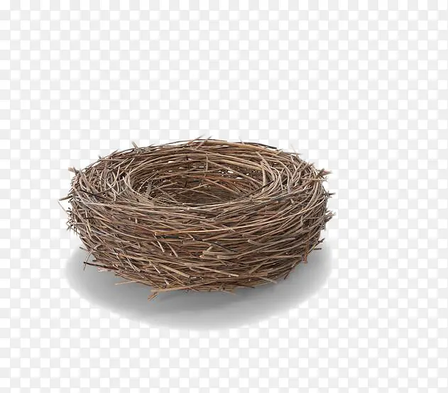 ��ɫ��-������