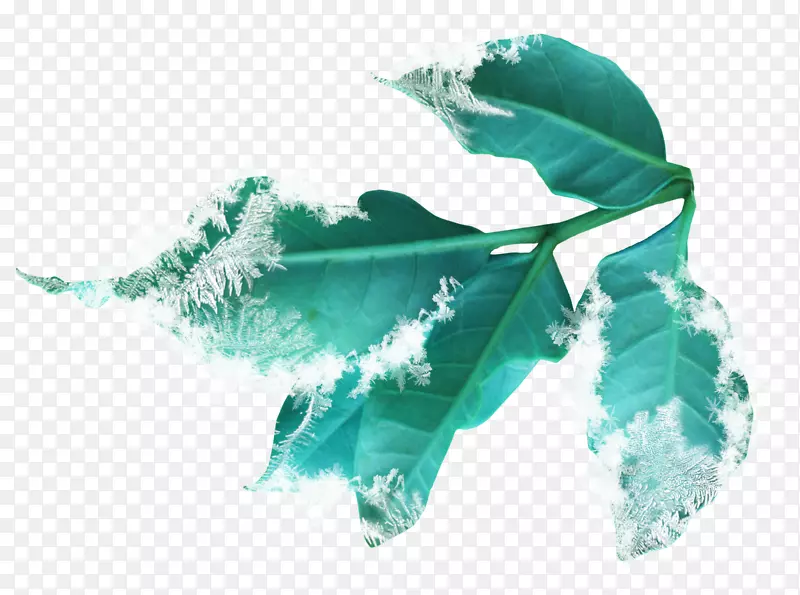 ʥ��ѩ�˼���������-������