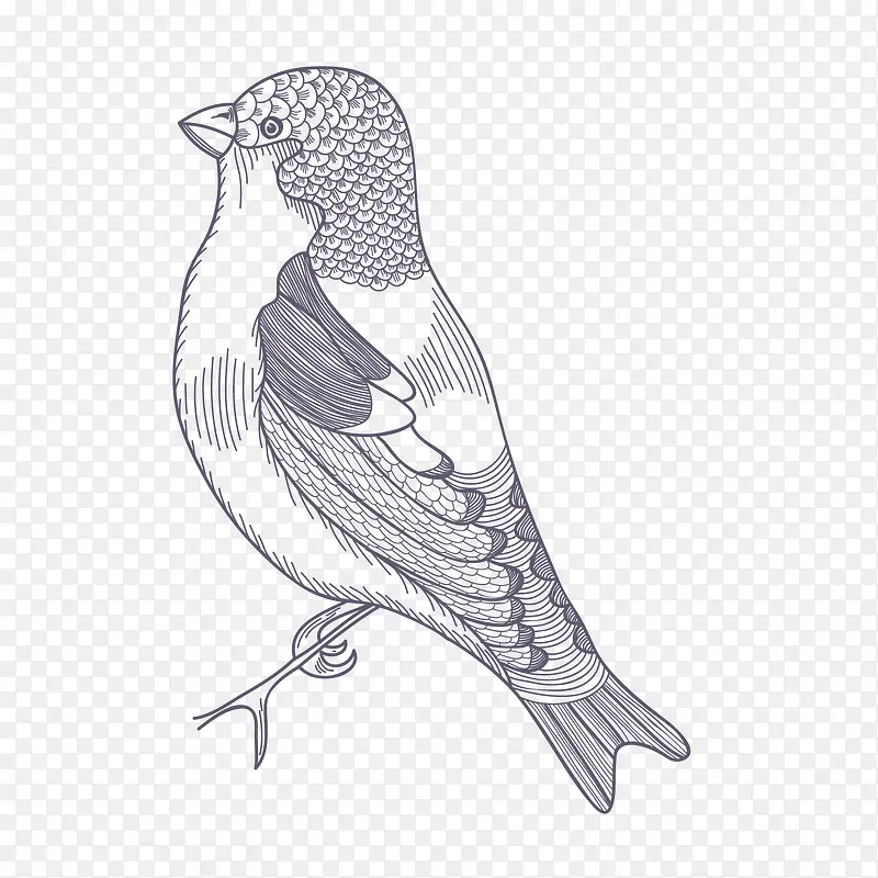 ��ͨ�ֻ�С��-������