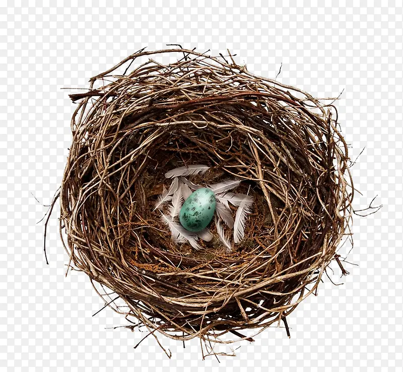 ������Ӱ������-������