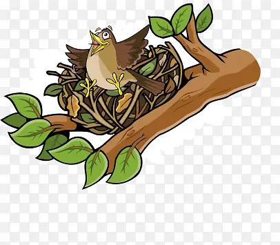 ��ͨ�ɰ�����-������