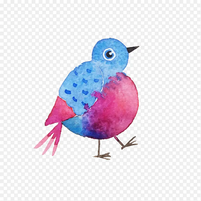 ��ͨС��-������