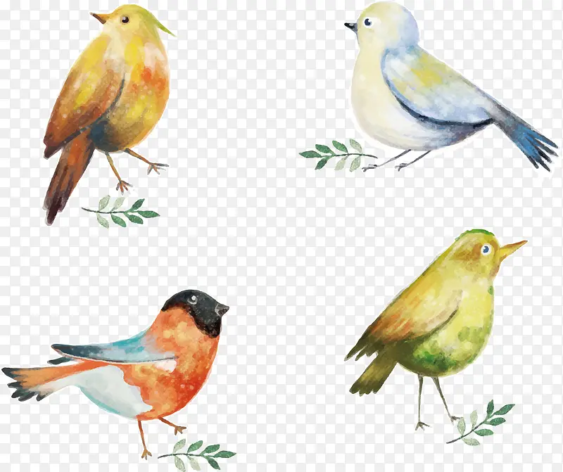 �ֻ�ˮ��С��-������