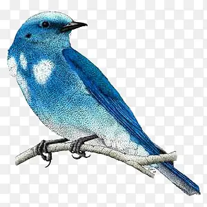 �ֻ�С��-������