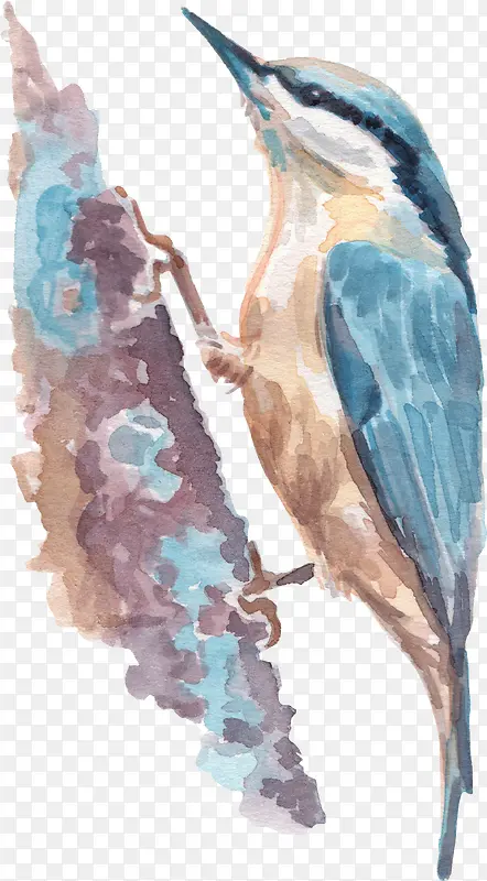 ��ͨ�ɰ�С����װ�ζ���ͷ��-������