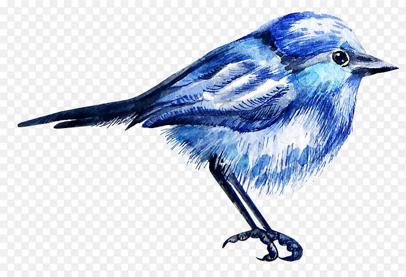 ��ͨ�ɰ�С����װ�ζ���ͷ��-������