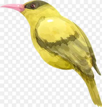 �ɰ���ͨ�ֻ�С��-������