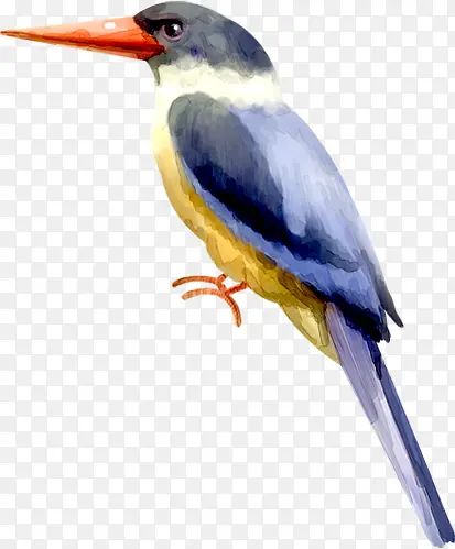 �ɰ���ͨС��-������