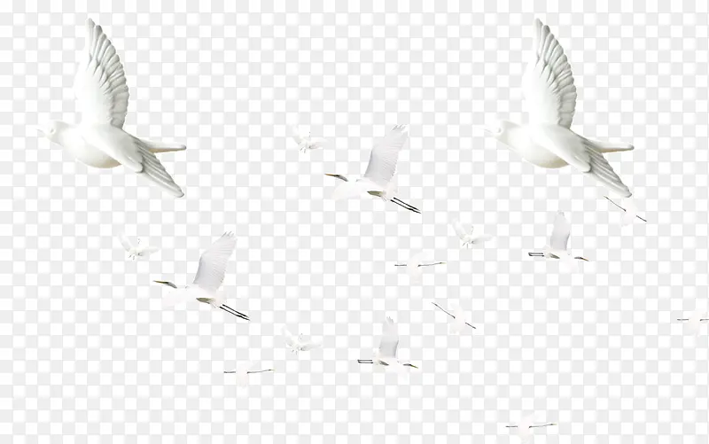 ��ɫ�ֻ濨ͨС��Ÿ-������