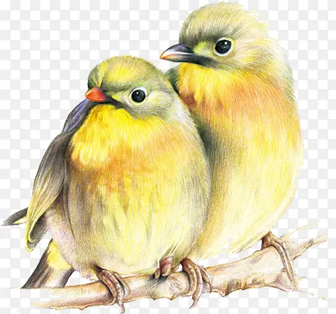 �ֻ���-������