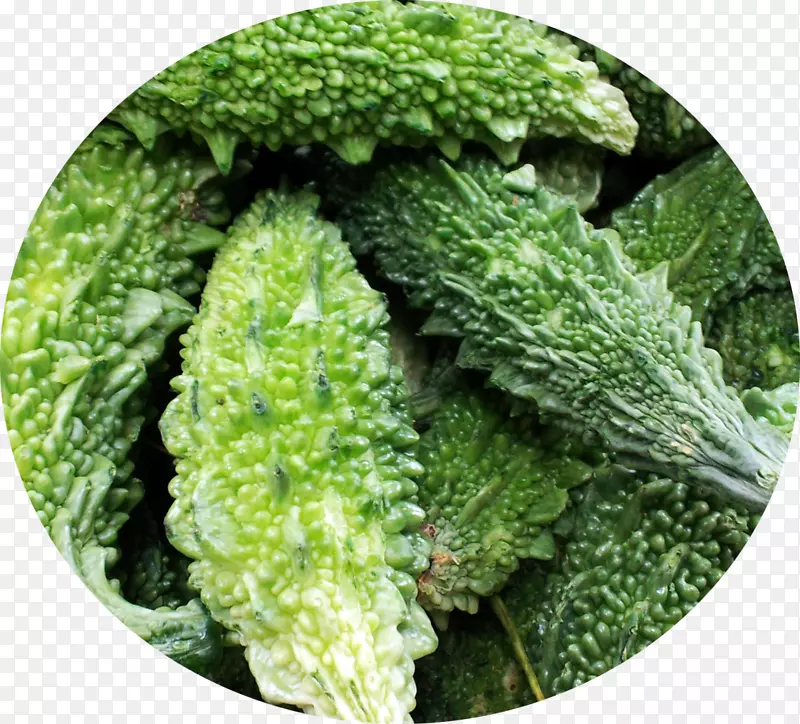 ���ӡ���߲˺�«���ӻ�������-������