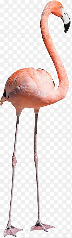 ������װ��-������