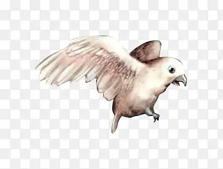 ˮ�ʻ�С��-������