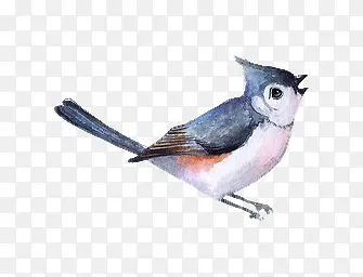 ˮ�ʻ�С��-������