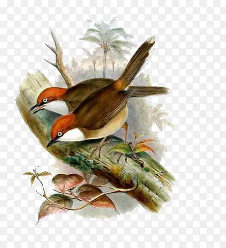 �ֻ���ȸ-������