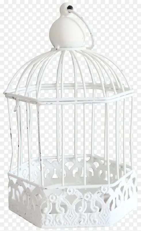 ��ɫ����-������