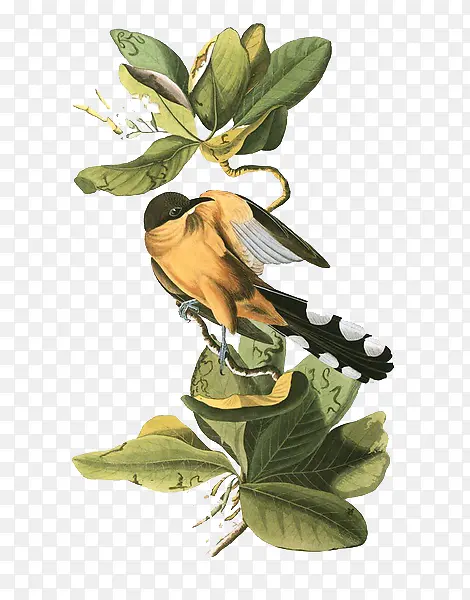 �ֻ�С��-������