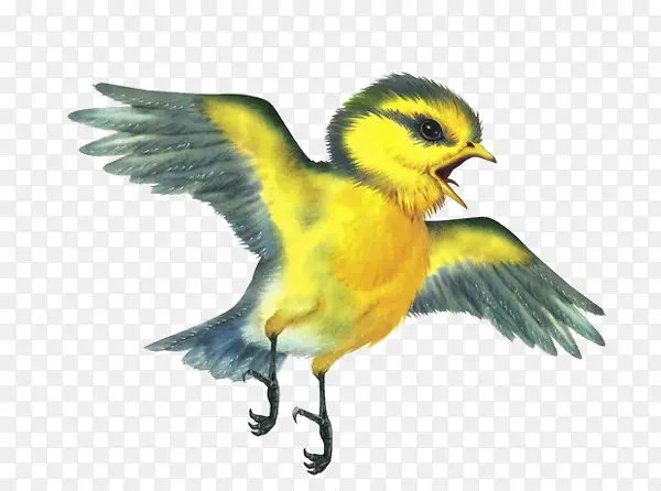 ��ͨС��-������