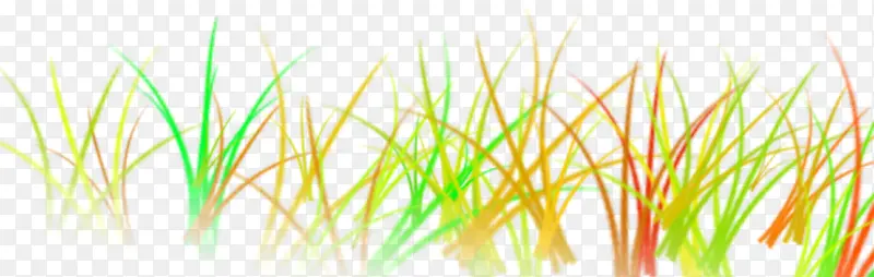 ��ɫ�ݴԿ�ͨ͸��-������