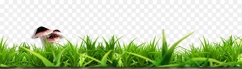 �ݴ�-������