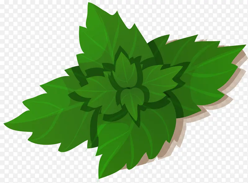 ��ɫ��ͨС��-������