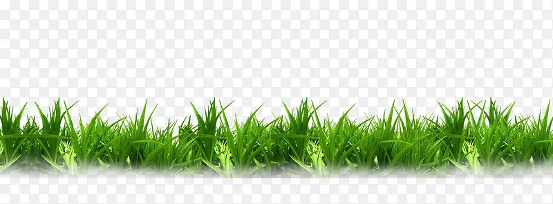 �ݴ�-������