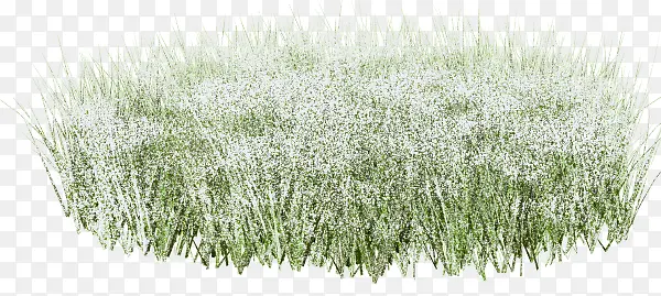 С��-������