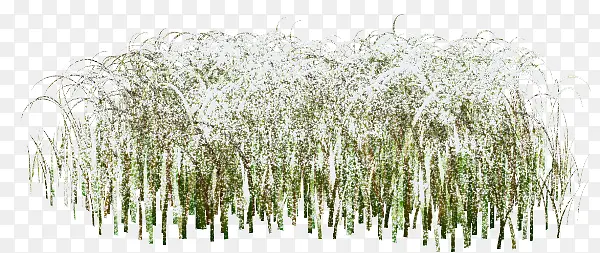 ��-������