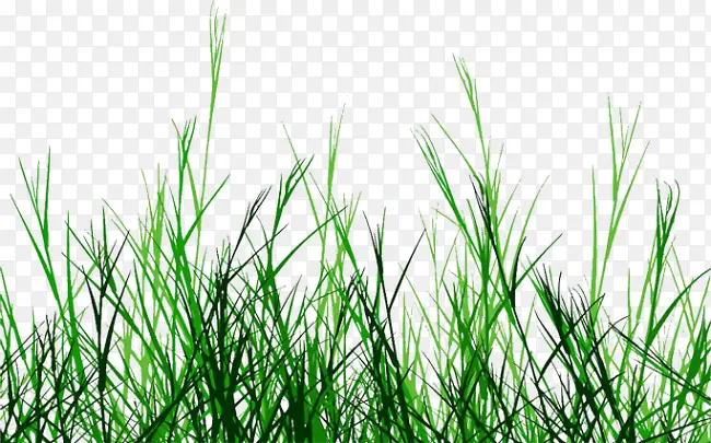 С��-������