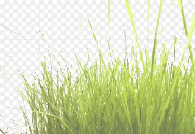 С��-������