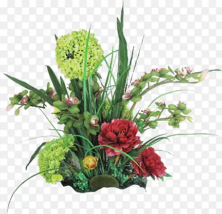 �ֻ�廭ֲ��ݴ�-������