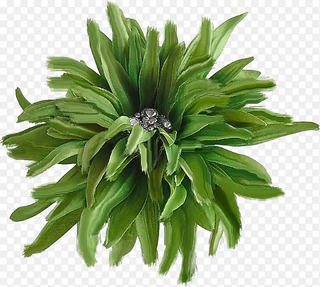 �̲�-������