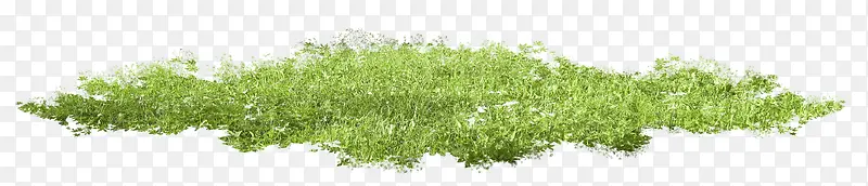 ��ɫ�ݴ�-������