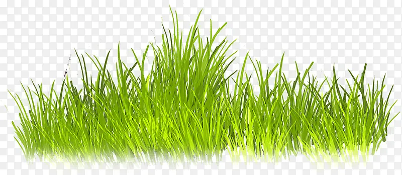 С�ݴ�-������