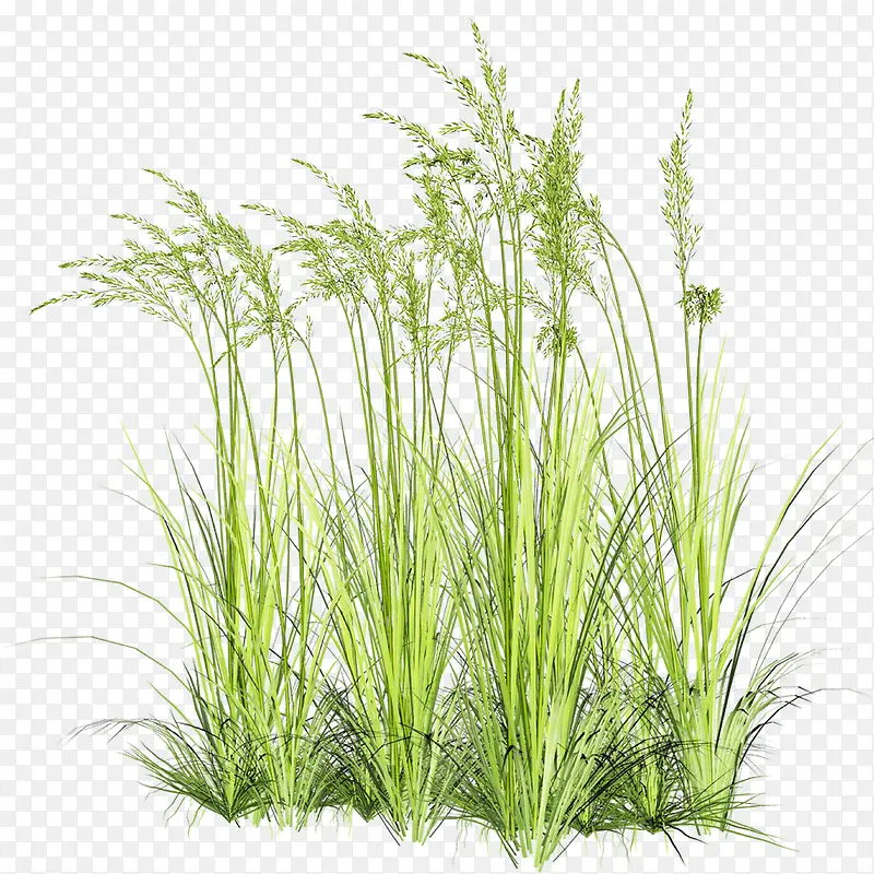 �ݴ�-������