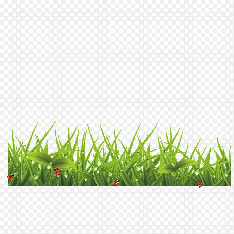 ʸ����ƺ�ز�-������