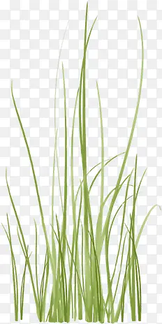 С��-������