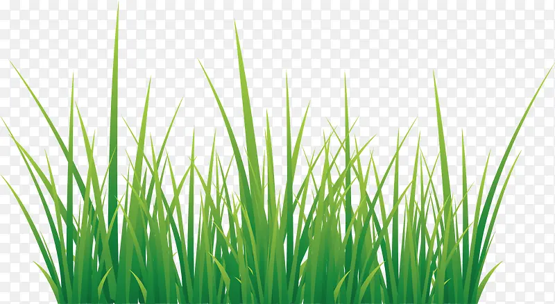 ʸ���ֻ��-������