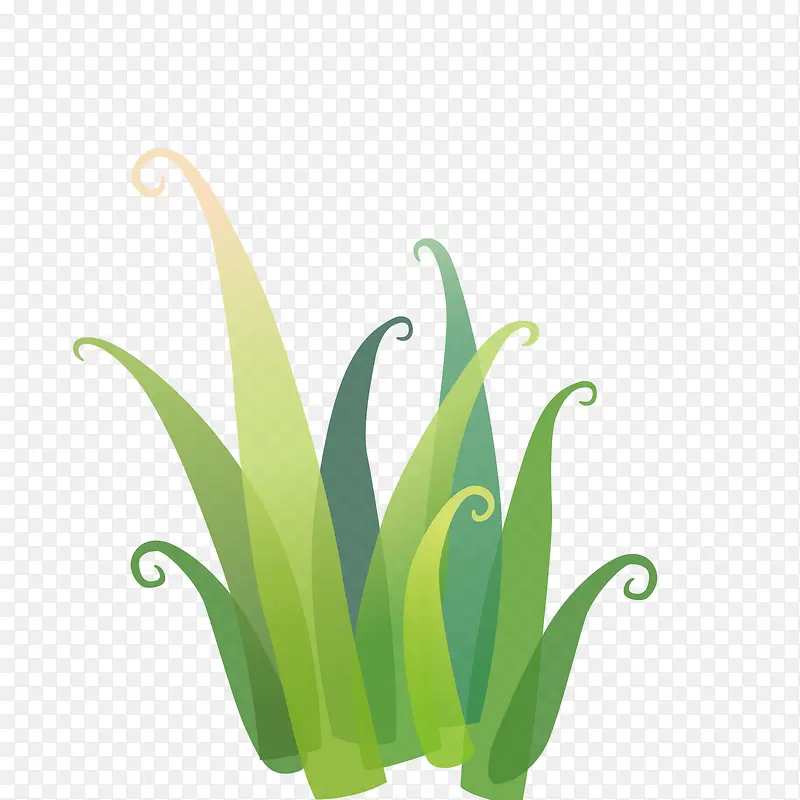 ��ͨС��-������