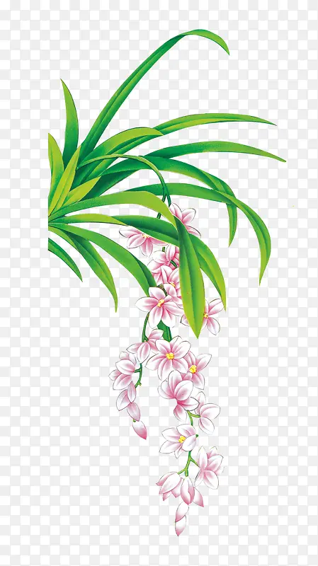 �ݴ�Ҷ��-������