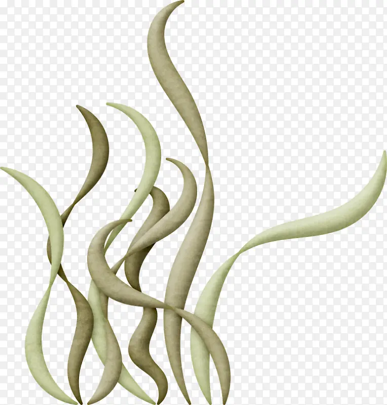 �ݴ�-������