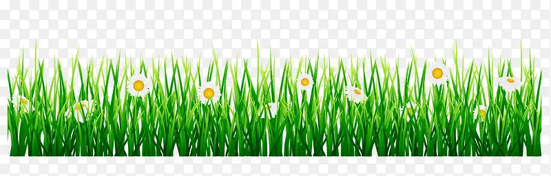 ��ͨ��ɫС��-������