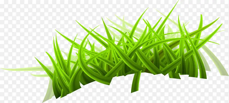 ��ͨ��ɫС��-������