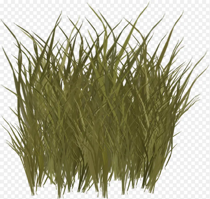 ��ͨС��-������