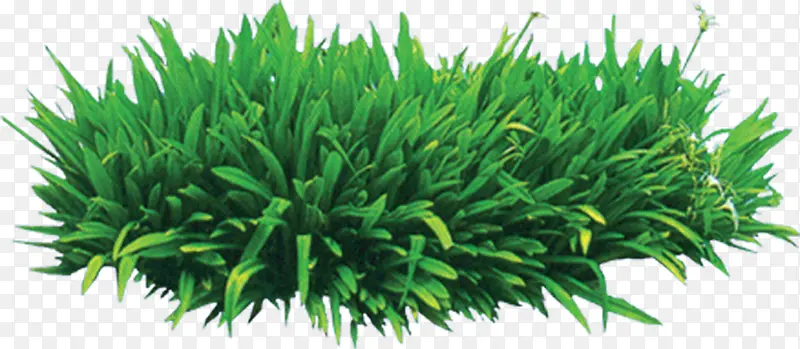 �ݴ�-������