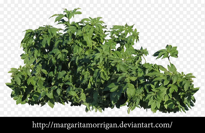 �ݴ�-������