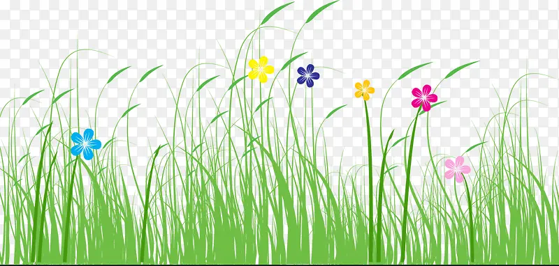 ������Ӱ������ɫ�����ֻ�ݴ�-������