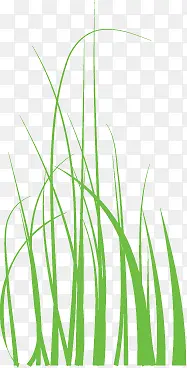 ������Ӱ��ɫ�ֻ�ݴ�-������