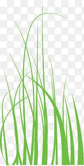 ������Ӱ��ɫ�ݴ�-������