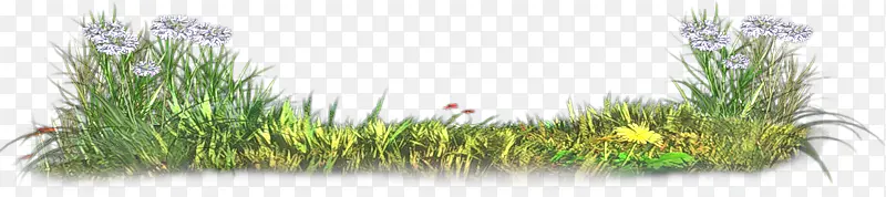 ��ɫ��ƺװ��-������